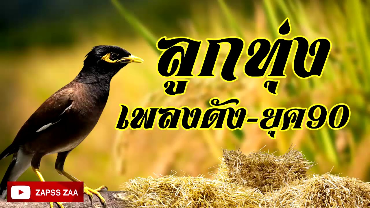 เพลงลูกทุ่งดัง ยุค90 รวมเพลงฟังเพราะสบายๆ