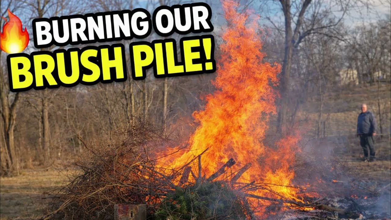 Big Fire on the Homestead 🔥 | Burning the Brush Pile