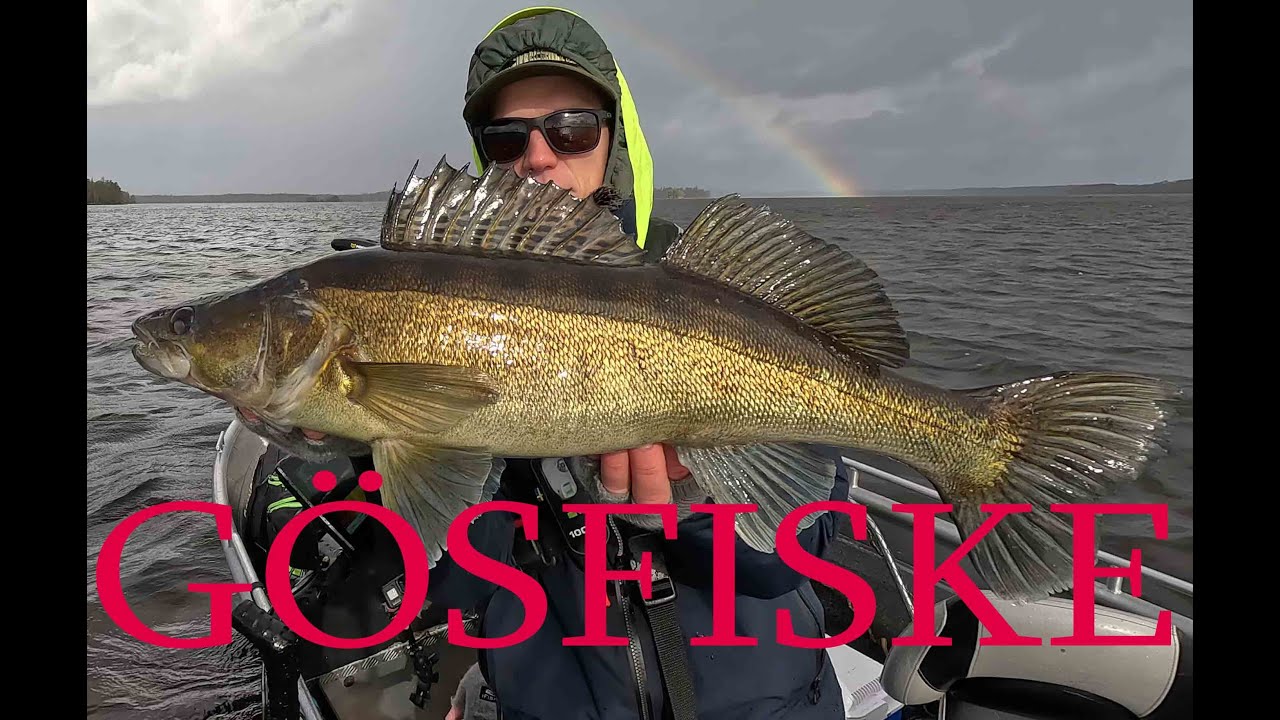 Fisketripp till Småland - Del 1 -  Gösfiske i storm