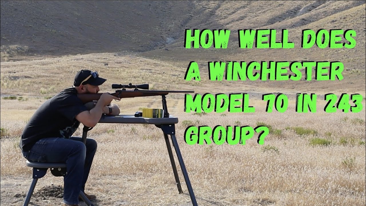 Обзор Winchester Model 70 в 243