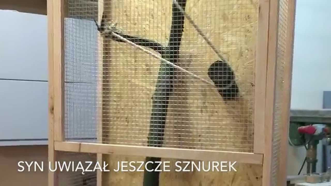 Jak zrobić klatkę dla wiewiórki