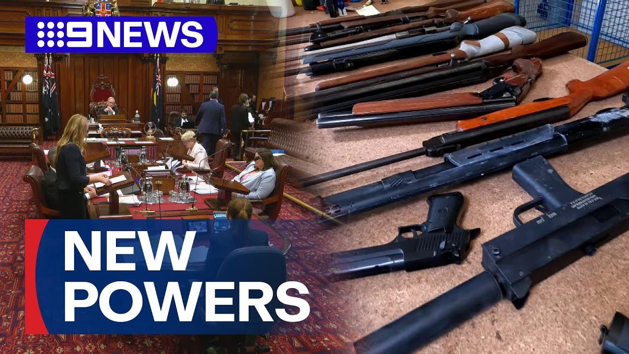 New gun reforms passed following marathon debate | 9 News Australia
