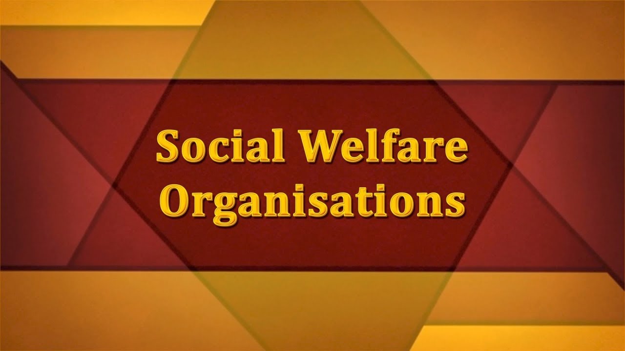 Social Welfare Organisations