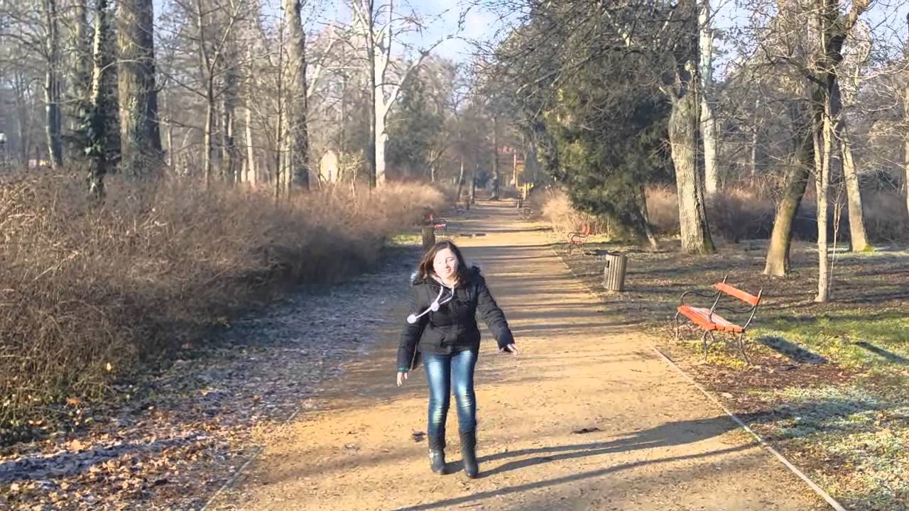 Klauzál Iskola 7.a farsangi osztály videó