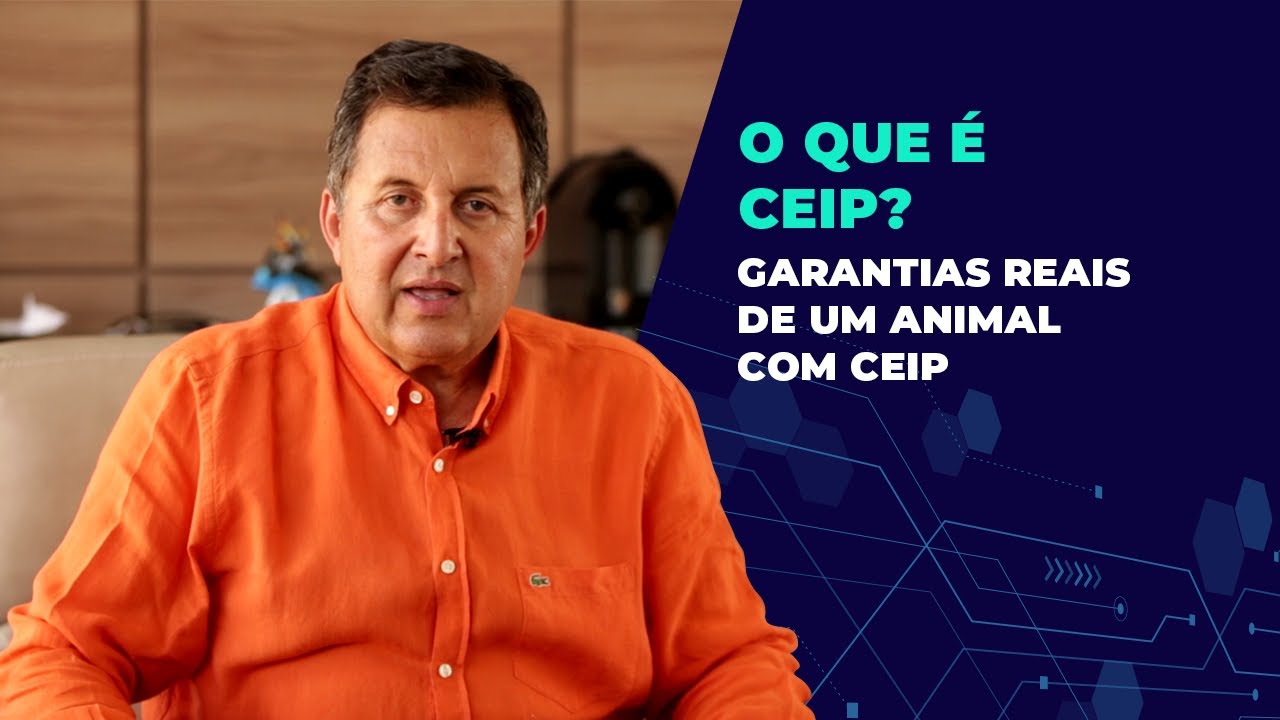 O que &eacute; CEIP?