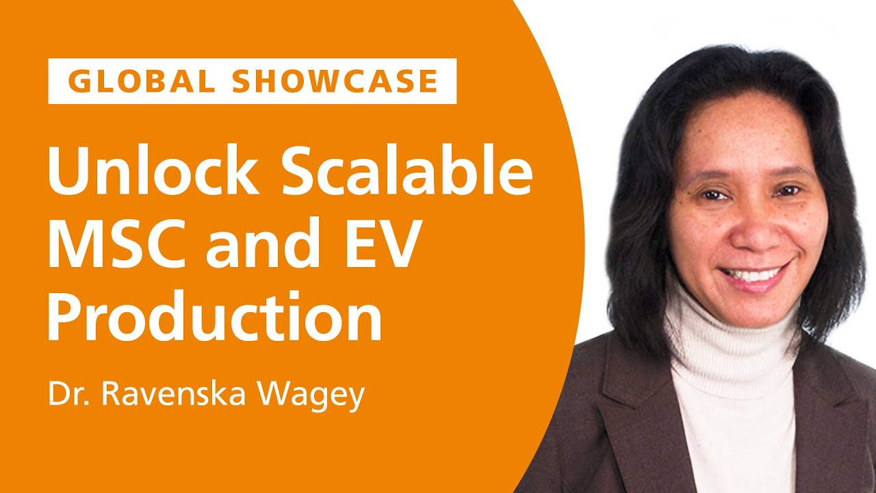Scalable MSC and EV Production in Animal Component-Free Bioreactor System