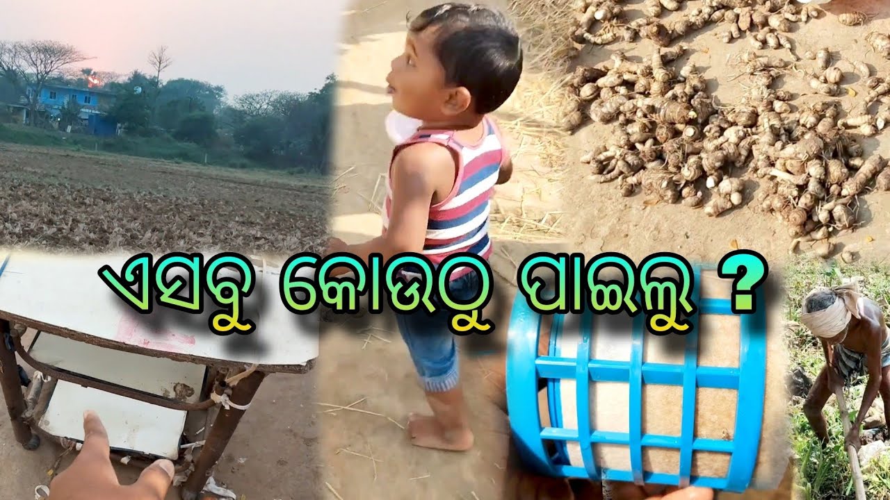 ଏସବୁ କେମିତି  ମିଳିଲା 🤔 ??//Biswajit vlogs #dailyvlog #odiavolg #vlog 