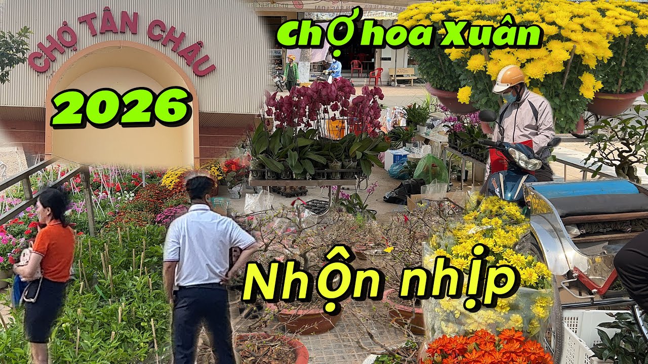Chợ hoa Xuân Tân châu xứ lụa. Tiểu thương tấp nập lên bông ngày 19/12/ al 