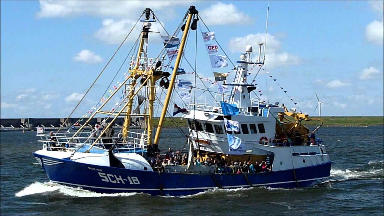 Vlaggetjesdag Stellendam 2011