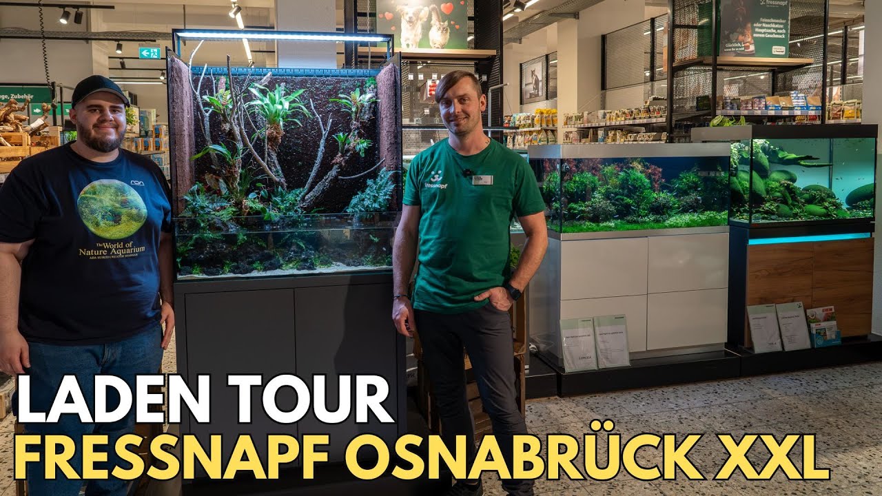 Aquarium Ladentour: Seltene Fische & schöne Schauaquarien beim Fressnapf Osnabrück XXL