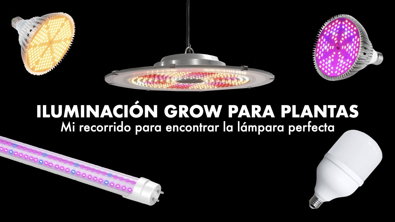 Iluminaci&oacute;n artificial GROW: Mi recorrido para encontrar la mejor l&aacute;mpara para mis plantas 🌱