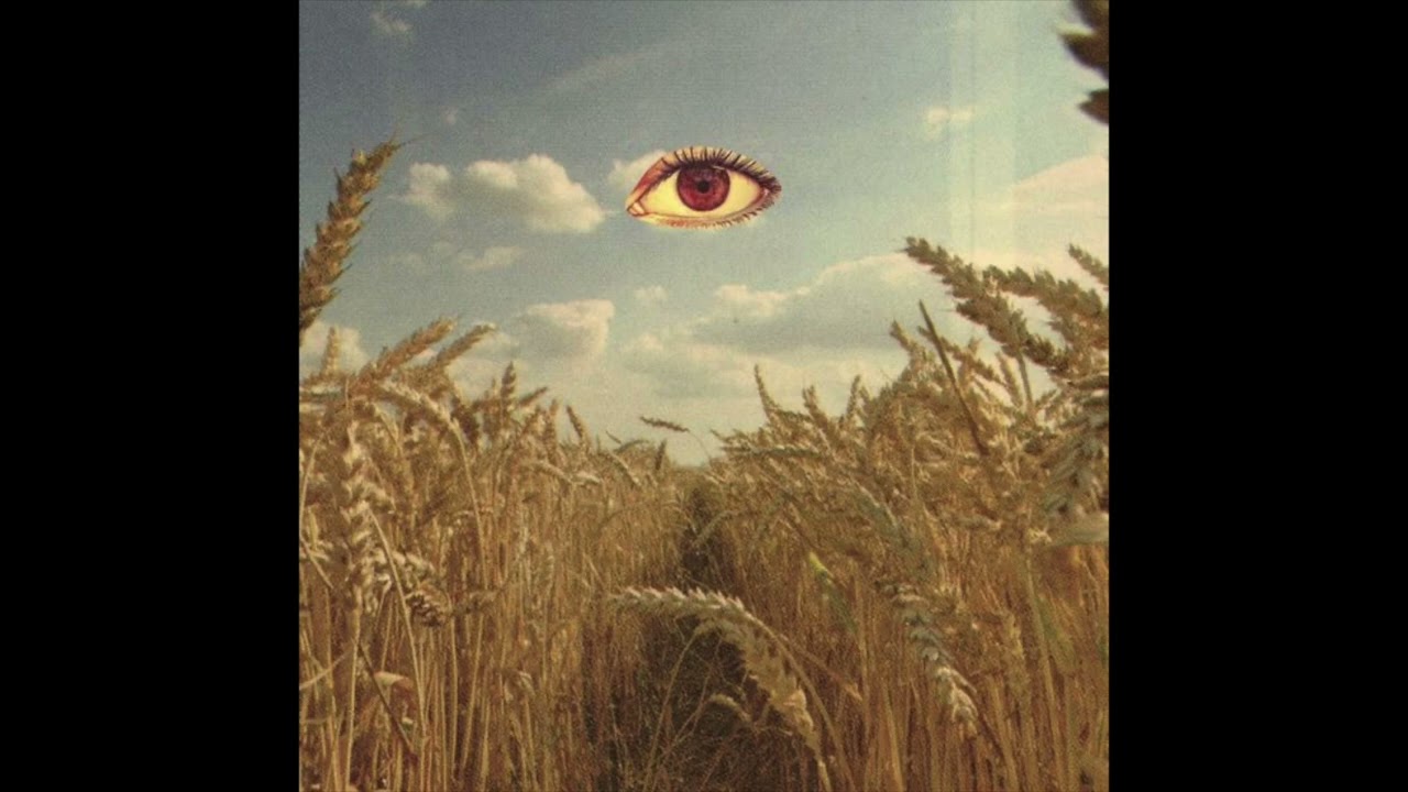 Flying Lotus x Pink Siifu x MF DOOM Type Beat - 