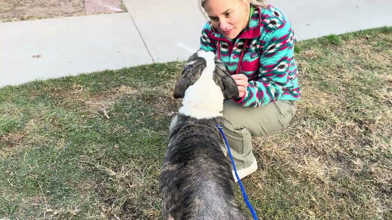 A1873540 Тест температуры Luey и A2053860 Domino