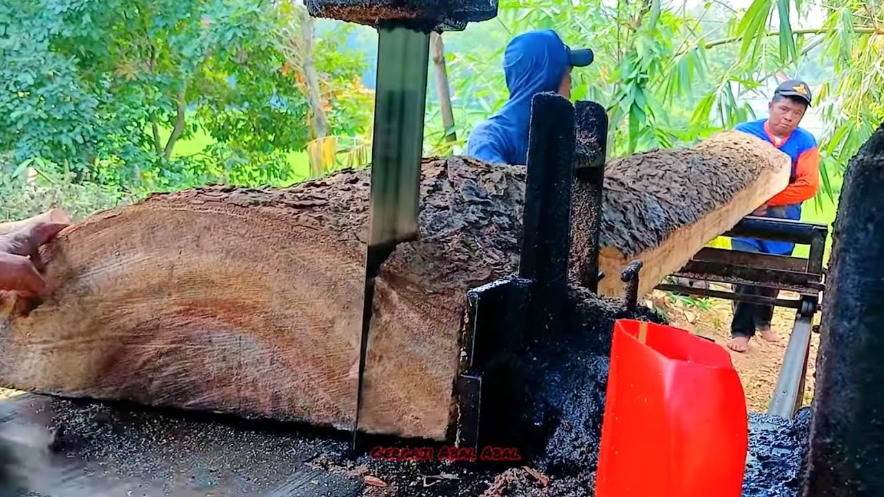 BESAR Dan panjang‼️ Kayu Trembesi Di Rajang Gergaji Mesin Bandsaw Rakitan 