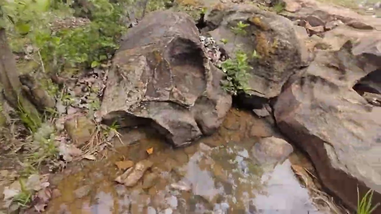 Fui mais uma vez na cachoeira da ema com os familiares de seu Luiz Xavier 
