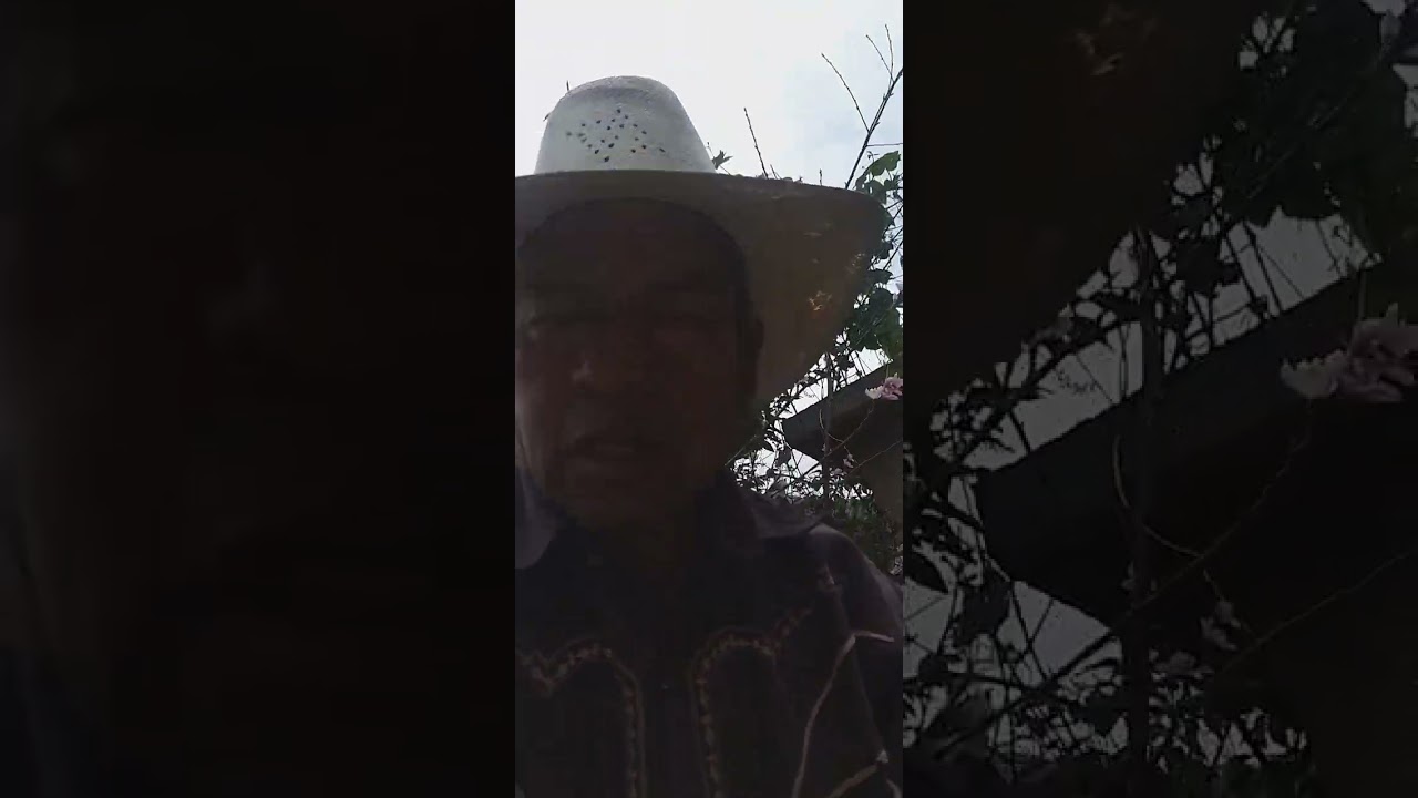 #Nahuatl712_ROSAXOCHITLAL_NIKINTOKAK_MAJTAKTIONSE_POUAL_UAN_KAXTOL_UITSMEJ_Sembre_235_chayotes_ROSAL