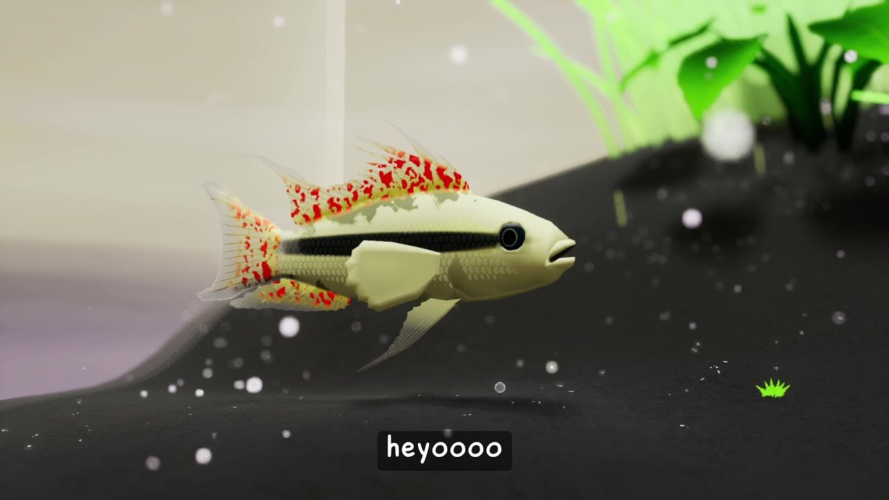 Fish Game Female Fish Update