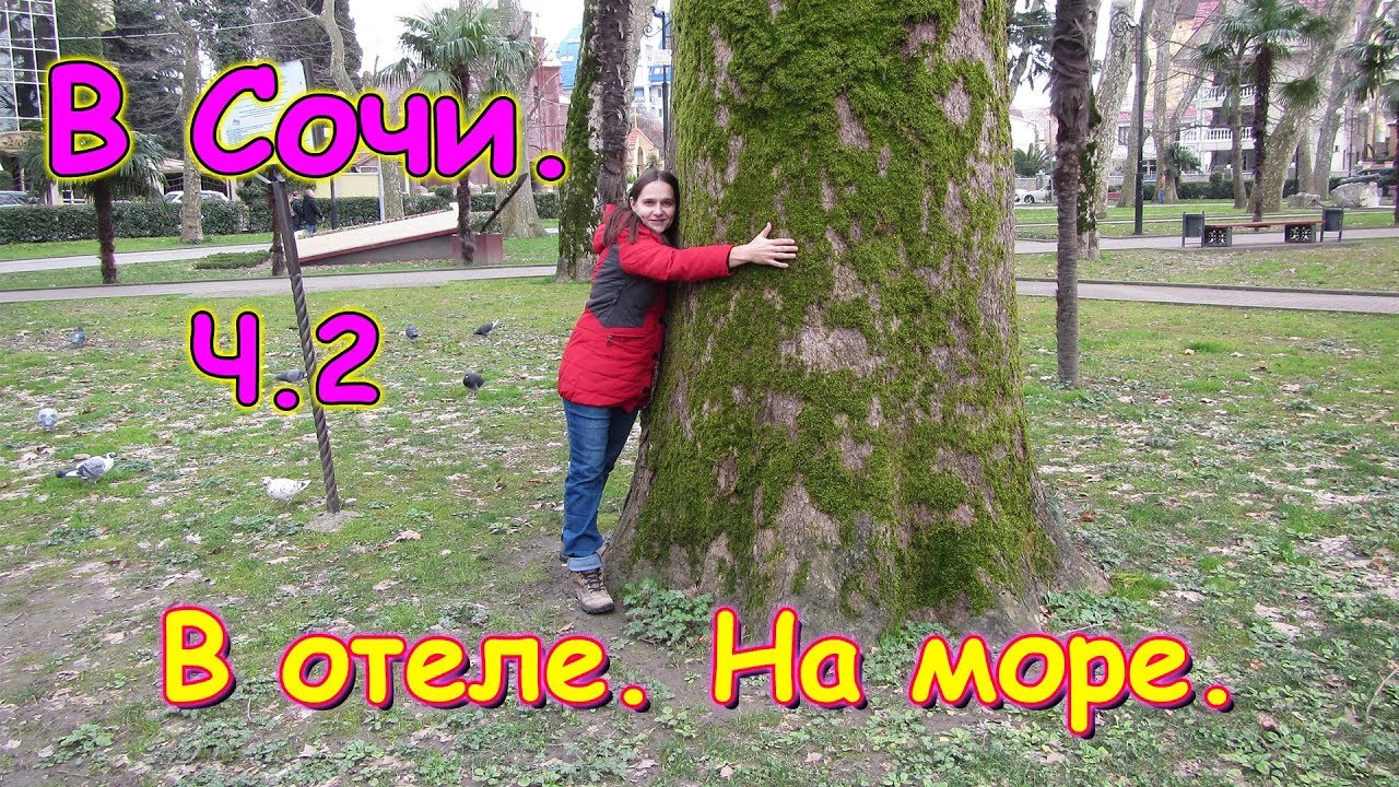 Таня в Сочи по работе. Часть 2. Отель - заселение. На море. (02.19г.) Семья Бровченко.
