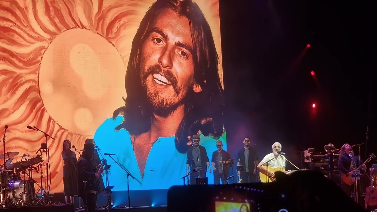cat stevens 