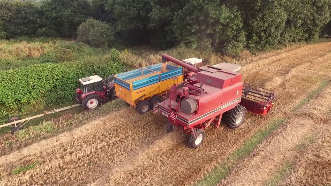 Moisson 2019, International 1460 axial flow