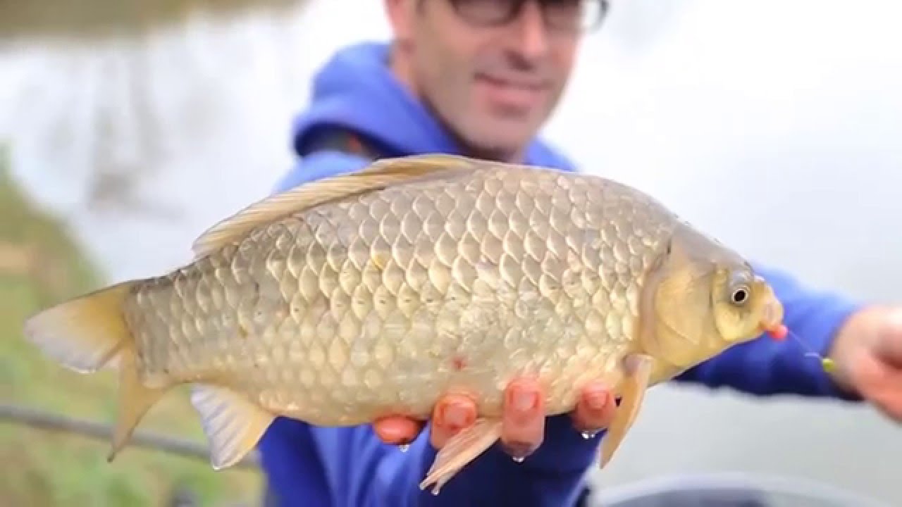 Italian Fishing TV - Shimano - Experience Feeder