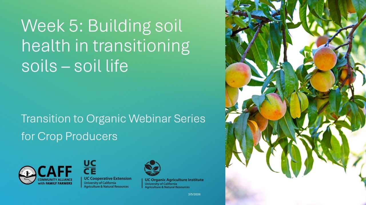 5. Building Soil Health in Transitioning - Soil life: Transition to Organic Webinar Series - Crops