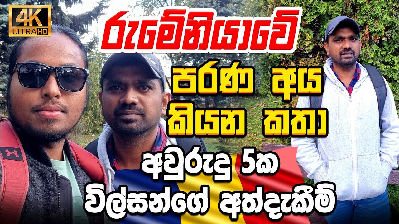 Finding success: Older workers' work experience in Romania|රුමේනියාවේ අවුරුදු 5 අත්දැකීම්