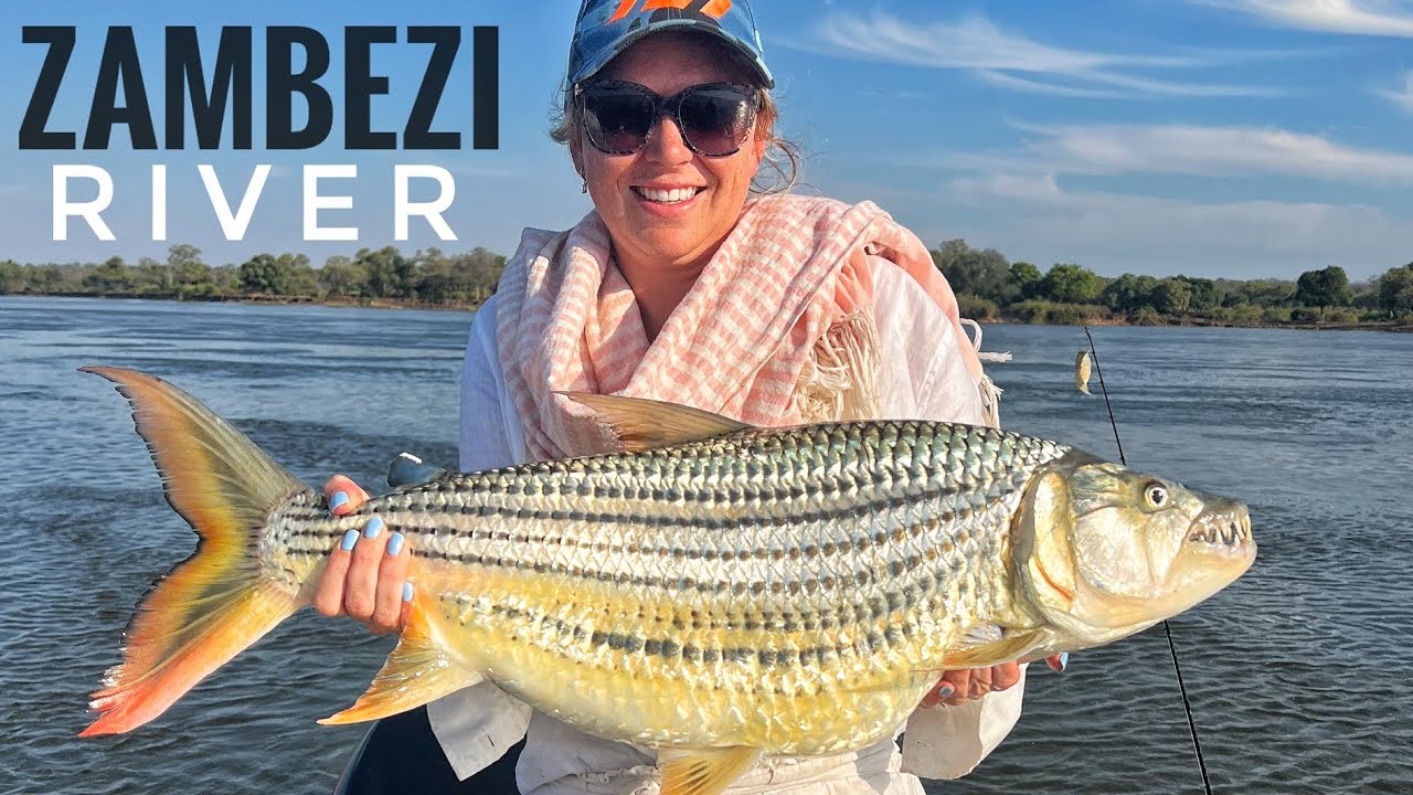 Mega Tiger fish on the Zambezi + Chessa and Bream fishing!