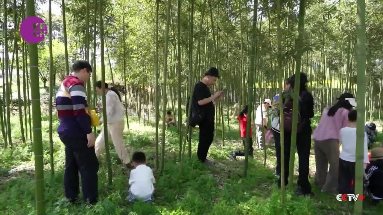 Off-the-Beaten-Path Chinese Destinations Spark Tourism Boom