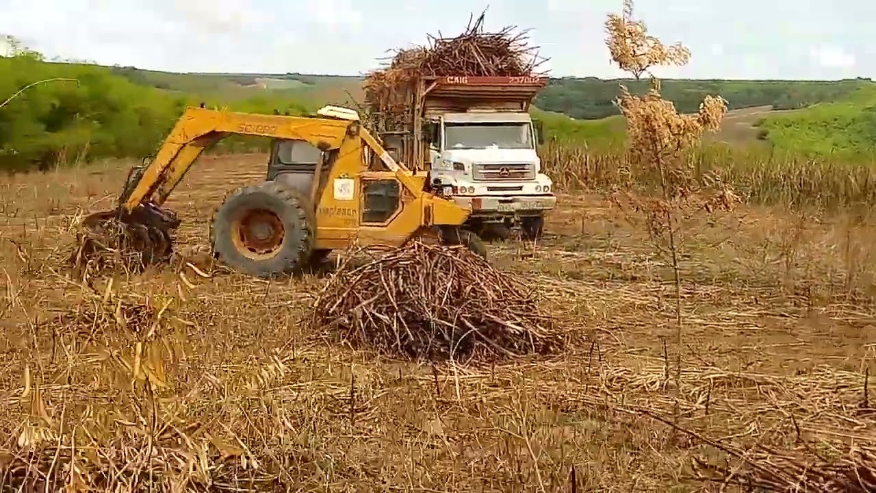 Carregadeira bell cabinada da usina santa Teresa 🔥🚜💪🏼