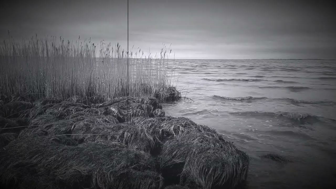 Finistère - Treibgut (2025)
