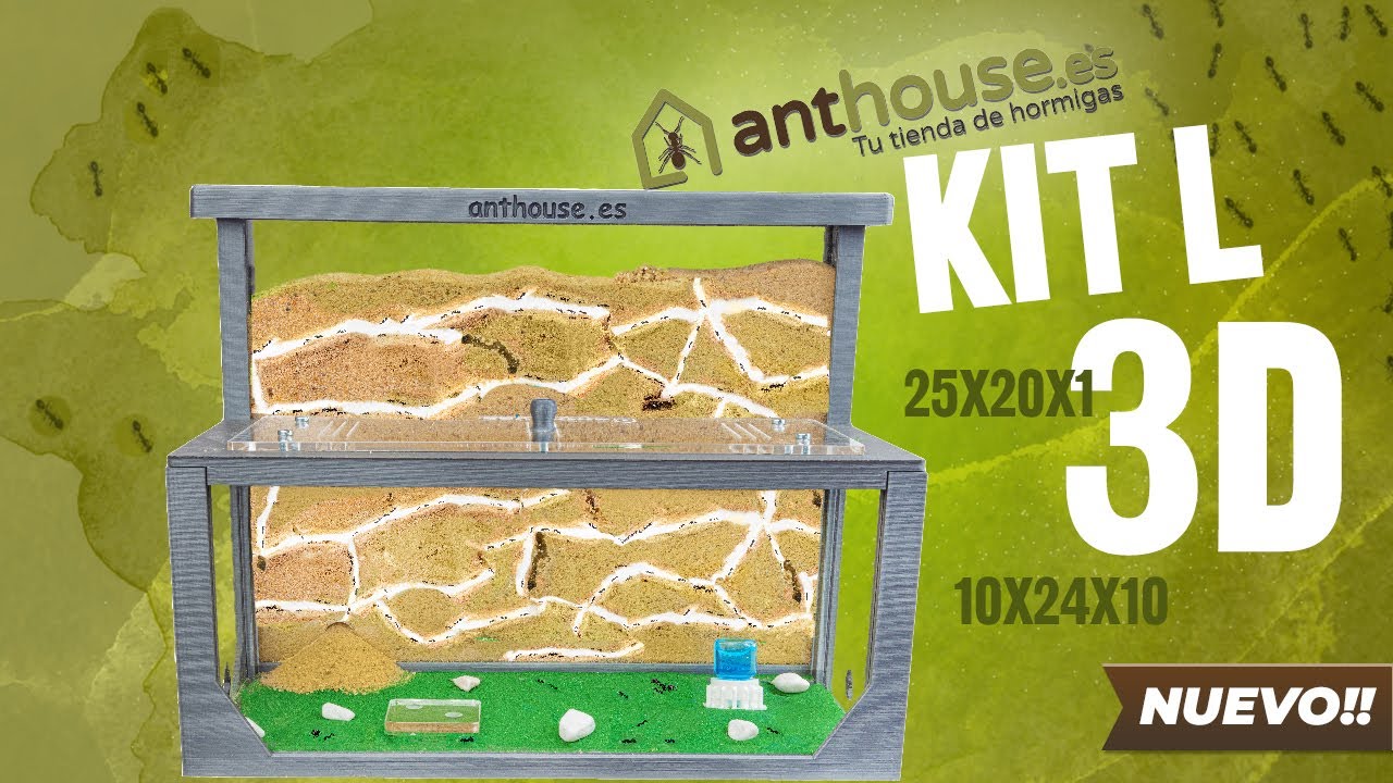 Kit ANTHOUSE L 3D