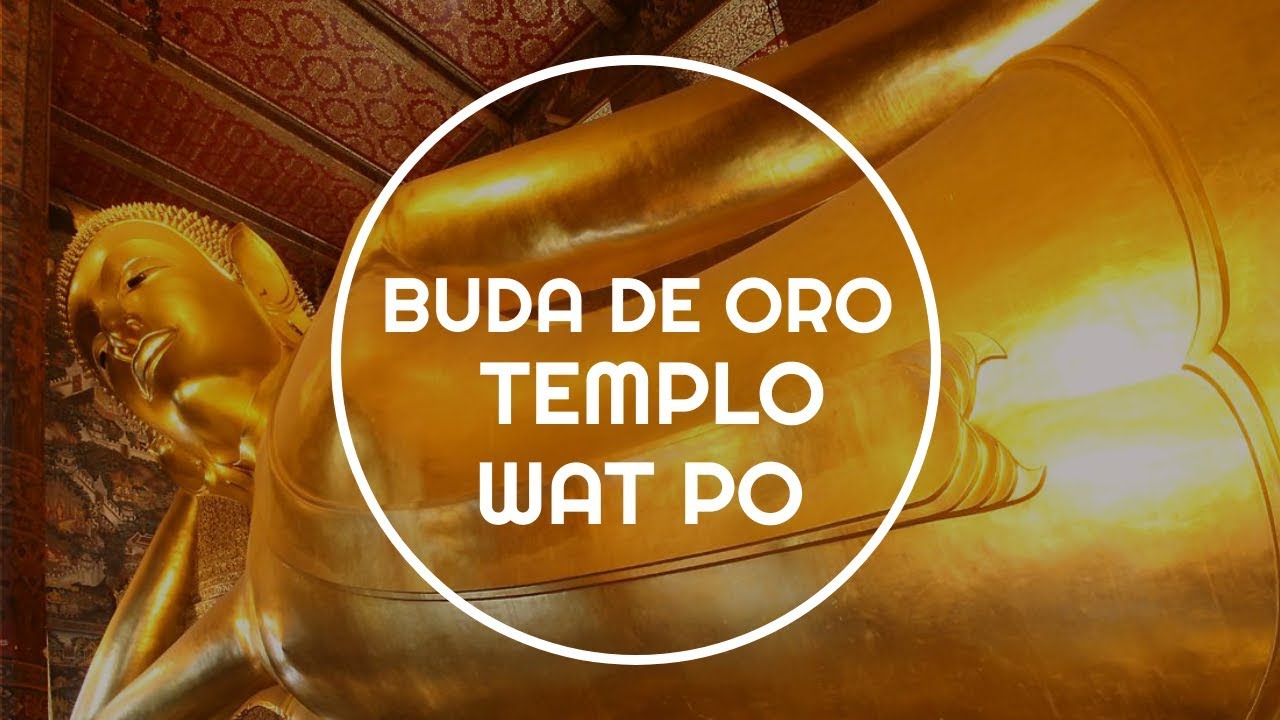 Buda de ORO en TAILANDIA - Templo Wat Po - DobleBoleto ✈️