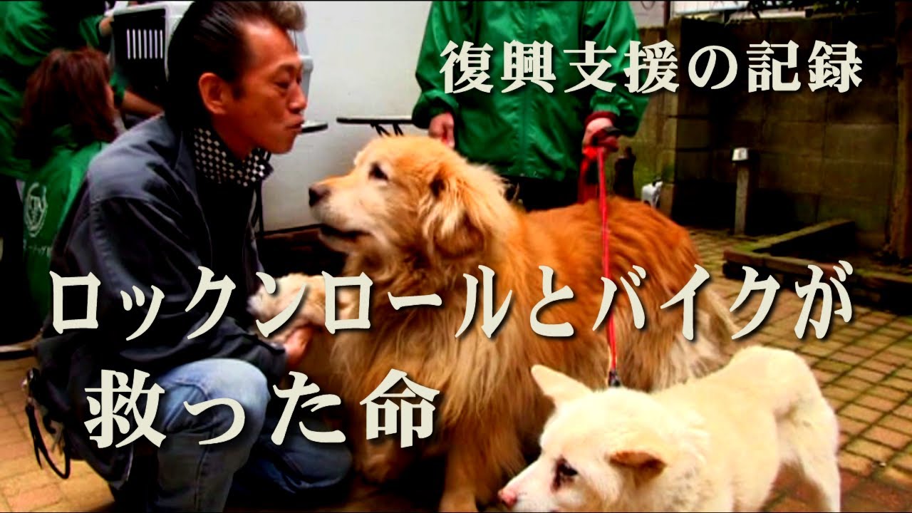 クールス（COOLS） 佐藤秀光｜ロックンロールとバイクが救った命福島原発事故・被災犬救助・復興支援の記録