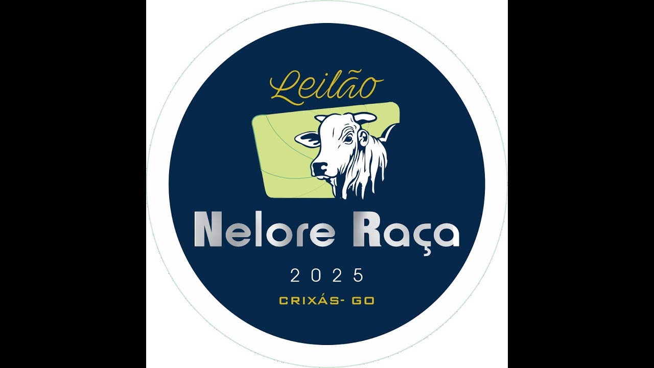 LEILÃO NELORE RAÇA