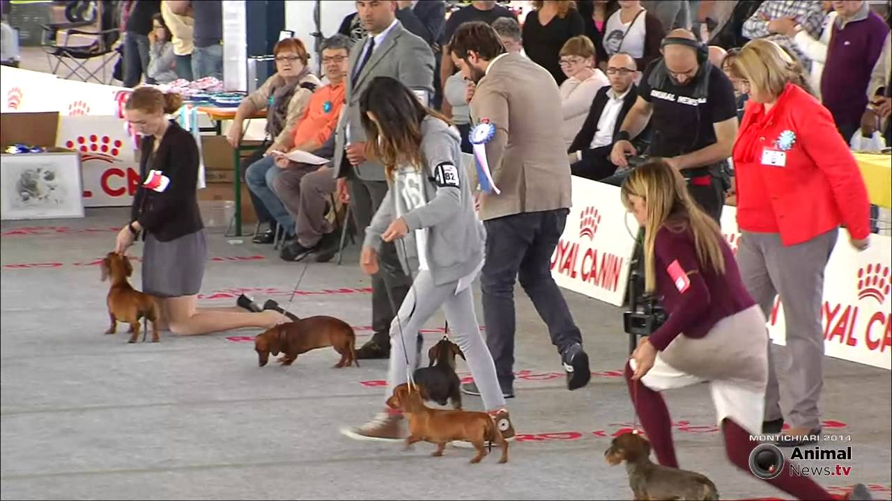 Expo Montichiari - Gruppo 4