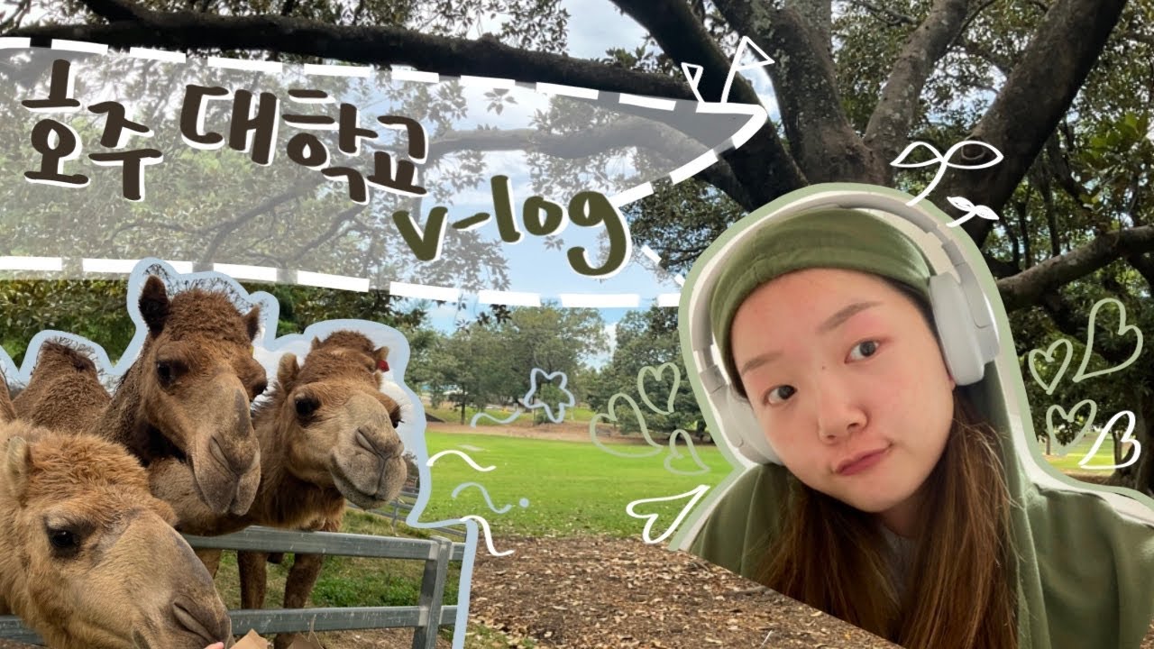 [221007] James cook University V-log / 15km challenge