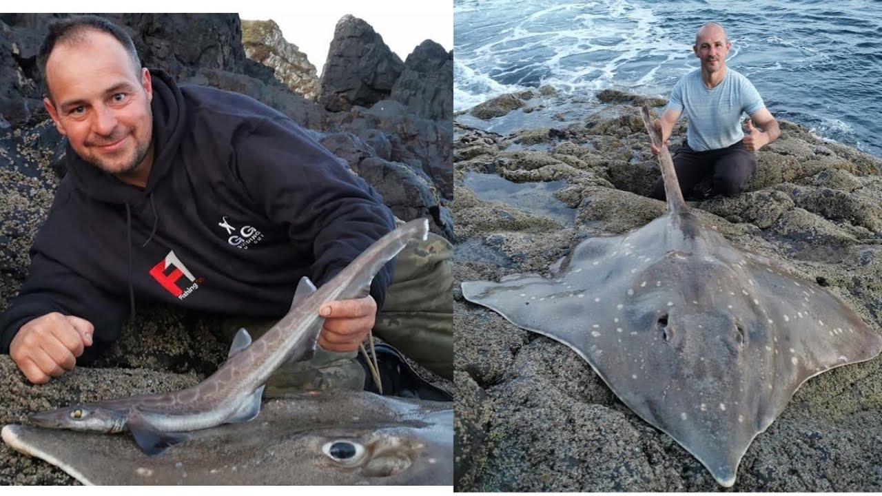 Skate fishing in Scotland with GG guiding (first black mouth dogfish landed of shore )