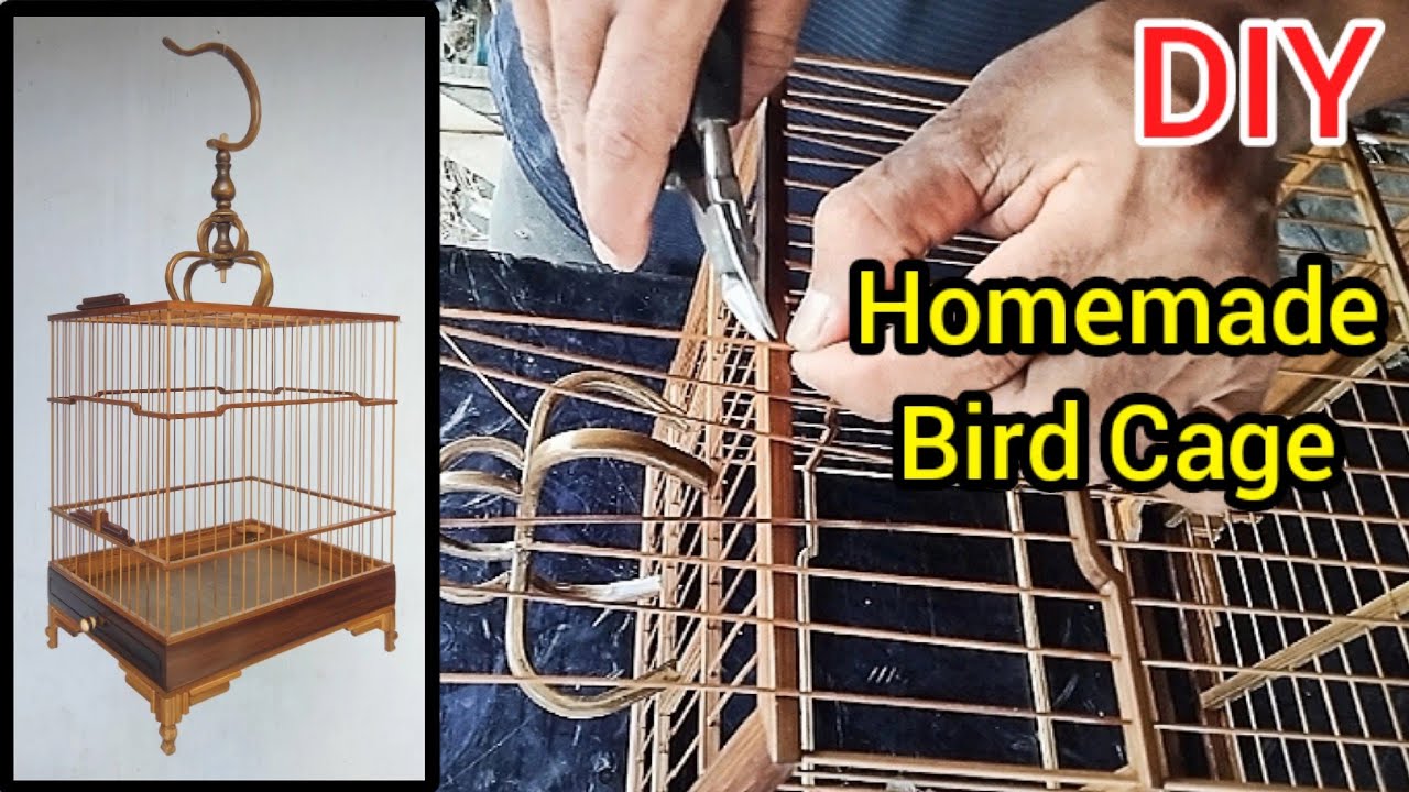 Make a Beautiful Bird Cage (Creative Homemade DIY)