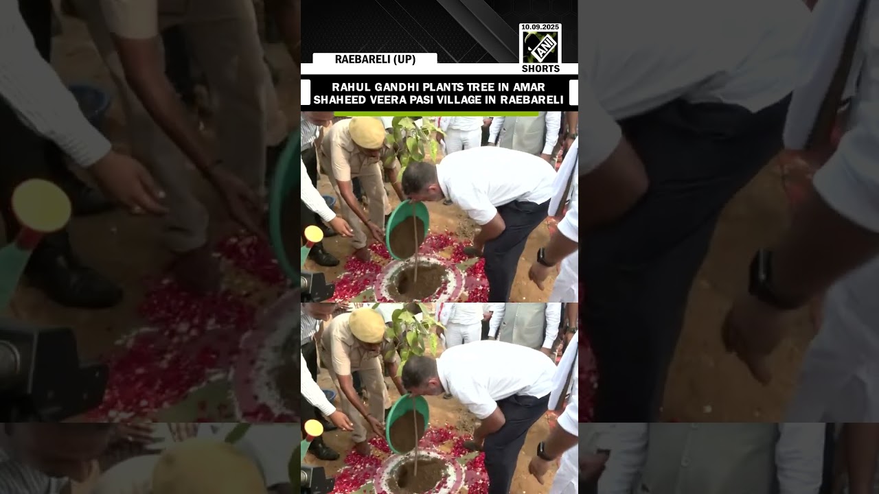 LoP Rahul Gandhi plants a tree in Amar Shaheed Veera Pasi village in Raebareli