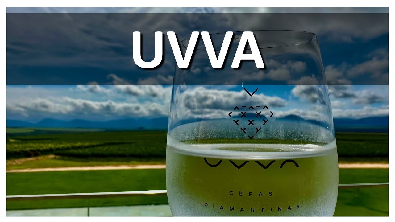 UVVA na Chapada Diamantina, pessoalmente com Marcelo Petroli🍷#253