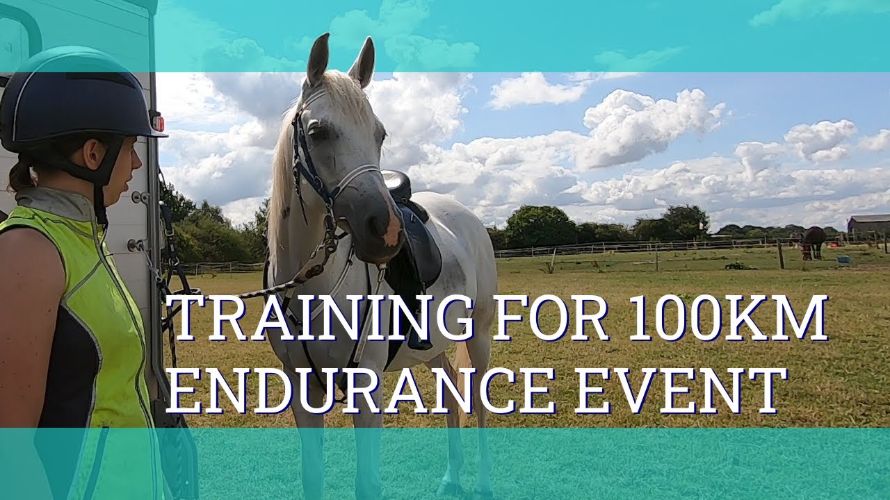 Training for our first 100km Endurance ride - Vlog 285 - Beth Endurance
