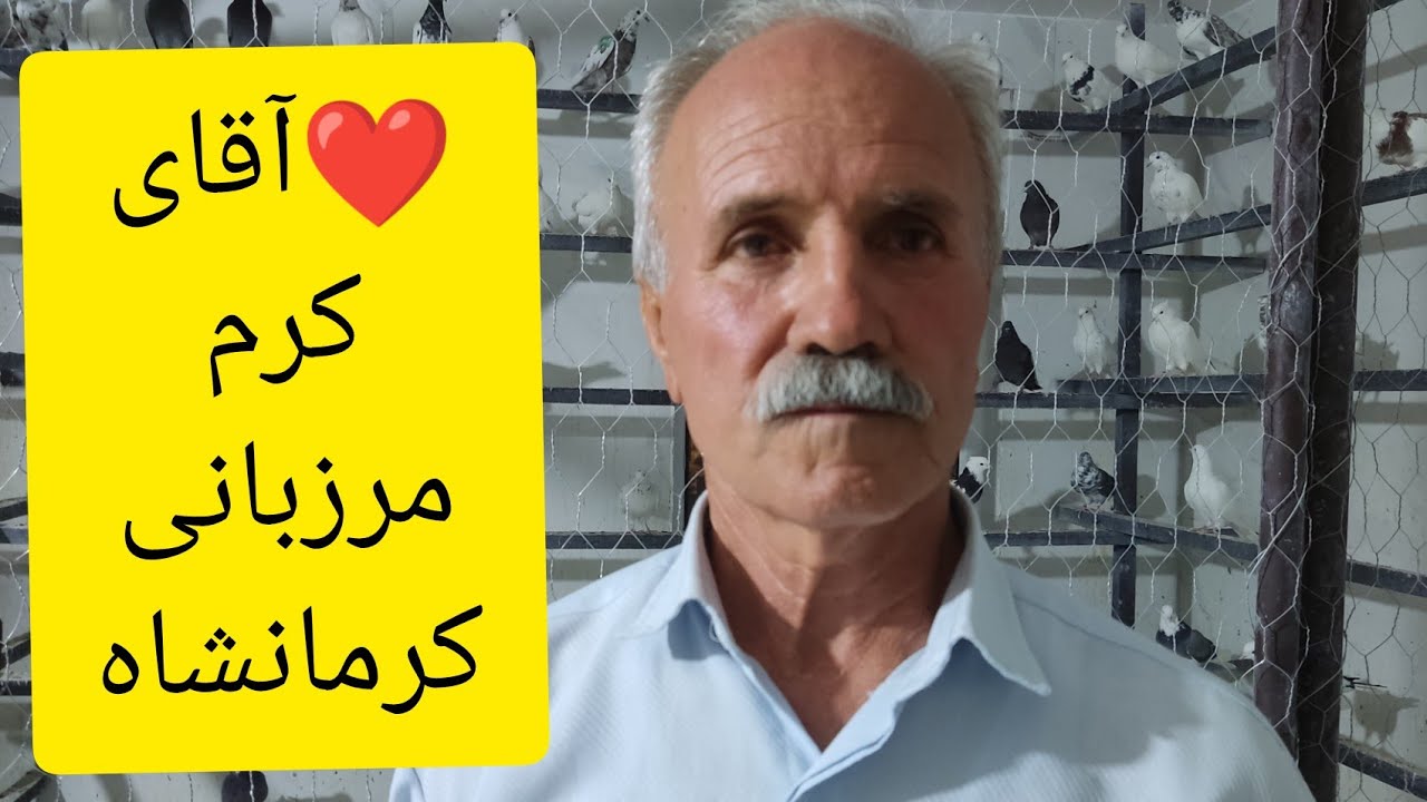 ❤️کبوترای طوقی کرمانشاهی متعلق به آقای کرم مرزبانی Iranian pigeon