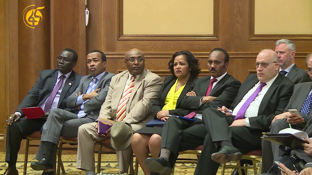 መቀመጫቸውን በአዲስ አበባ ያደረጉት ዲፕሎማቲች ስለአስቸኳይ ጊዜ አዋጁ ምን ይላሉ ?