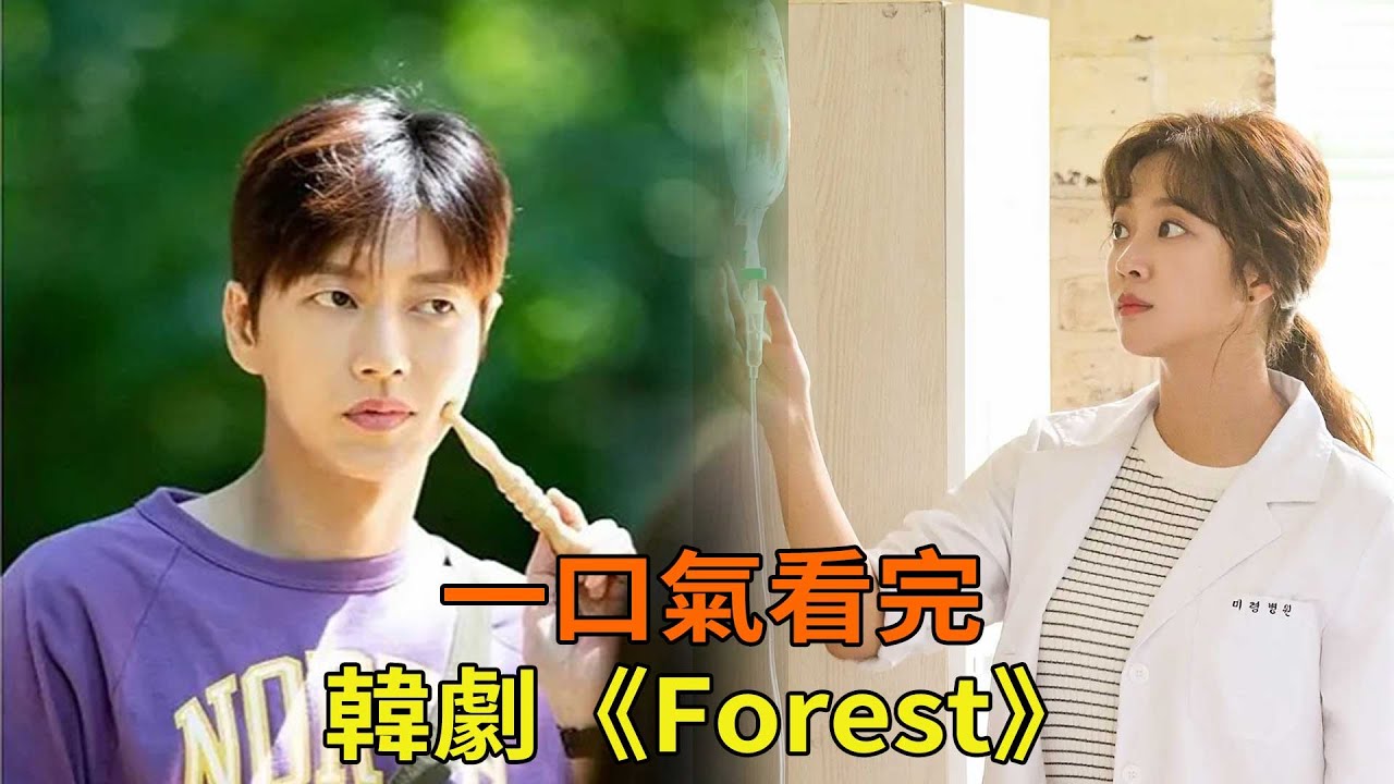 愛情韓劇《森林》一口氣看完，樸海鎮、曹寶兒在神秘的森林尋找自己與愛情的故事