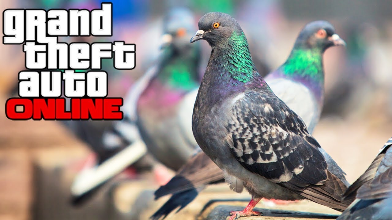 LA TEORÍA DE LA CONSPIRACIÓN DE LAS PALOMAS | Carreras y teorías con el Dr. Sánchez | GTA 5