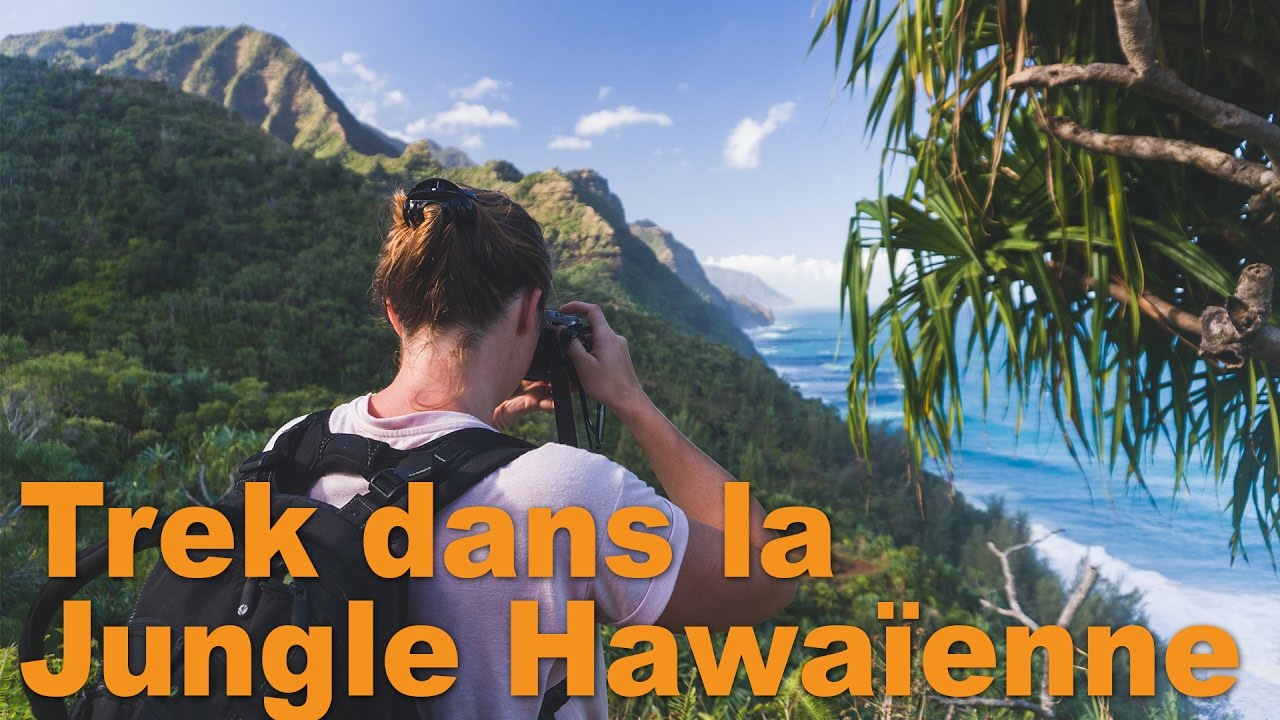 TREK DANS LA JUNGLE HAWAÏENNE