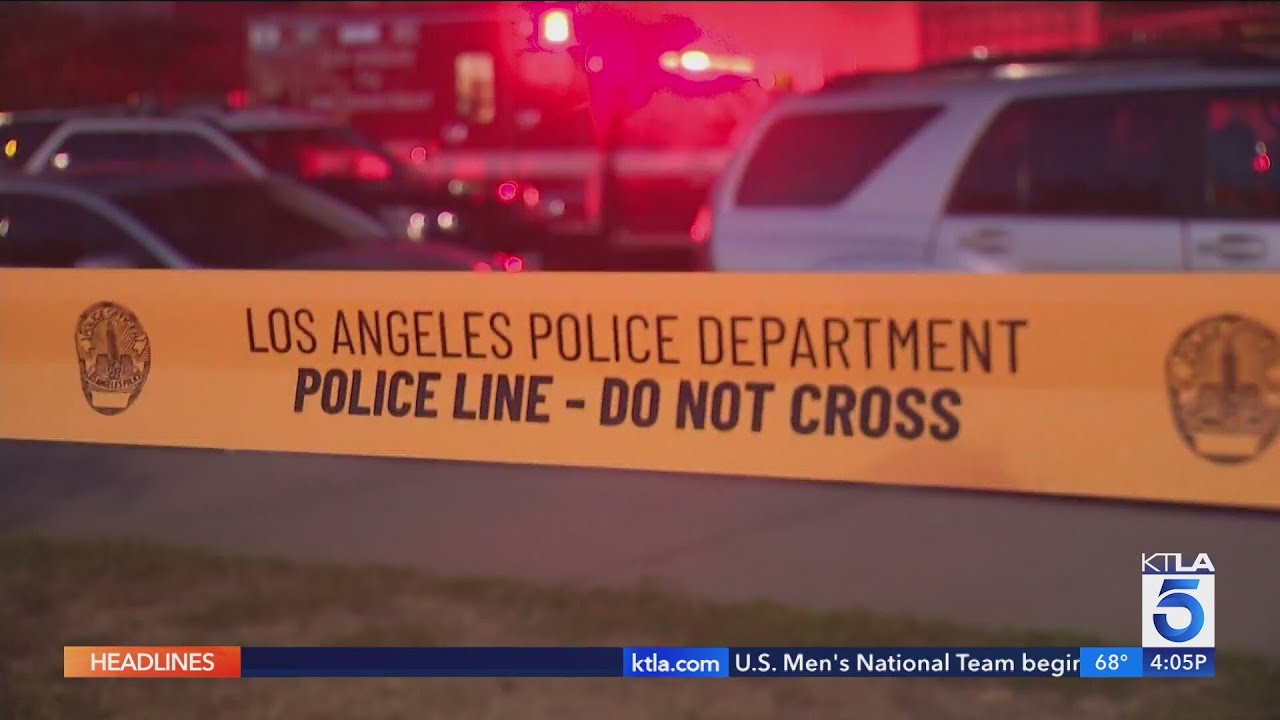 Father killed twin boys, shot at mother before taking his life in suspected Canoga Park murder-suici