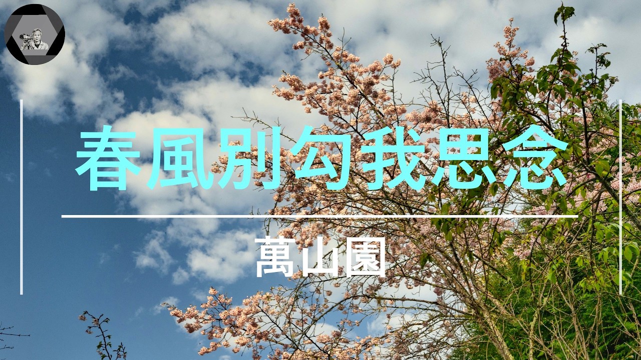 春風別勾我思念