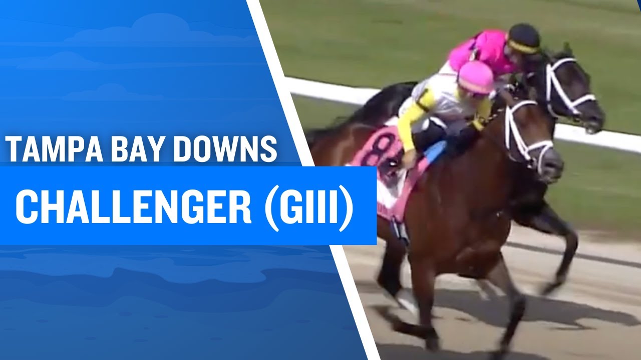 2025 $125,000 Challenger Stakes (G3) at Tampa Bay Downs